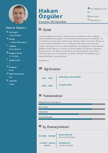 cv indir